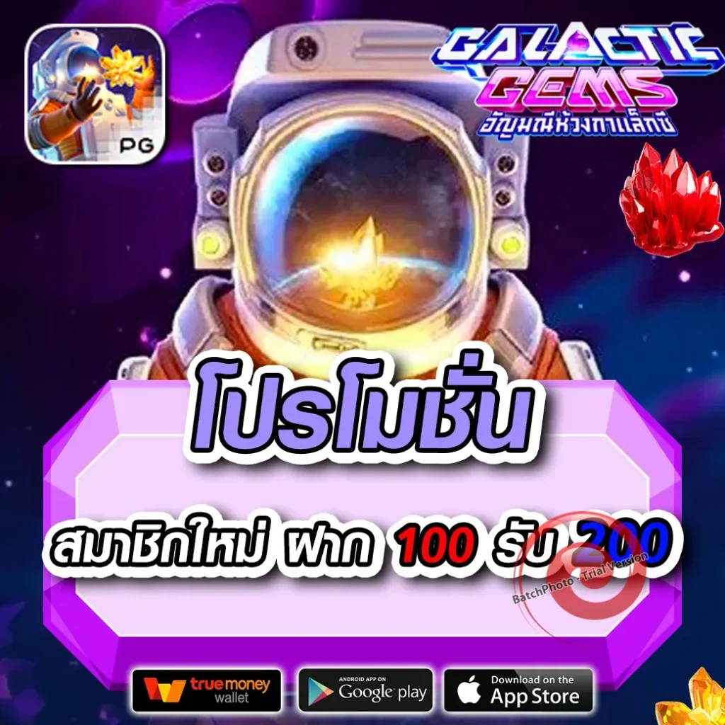 4x bet thai